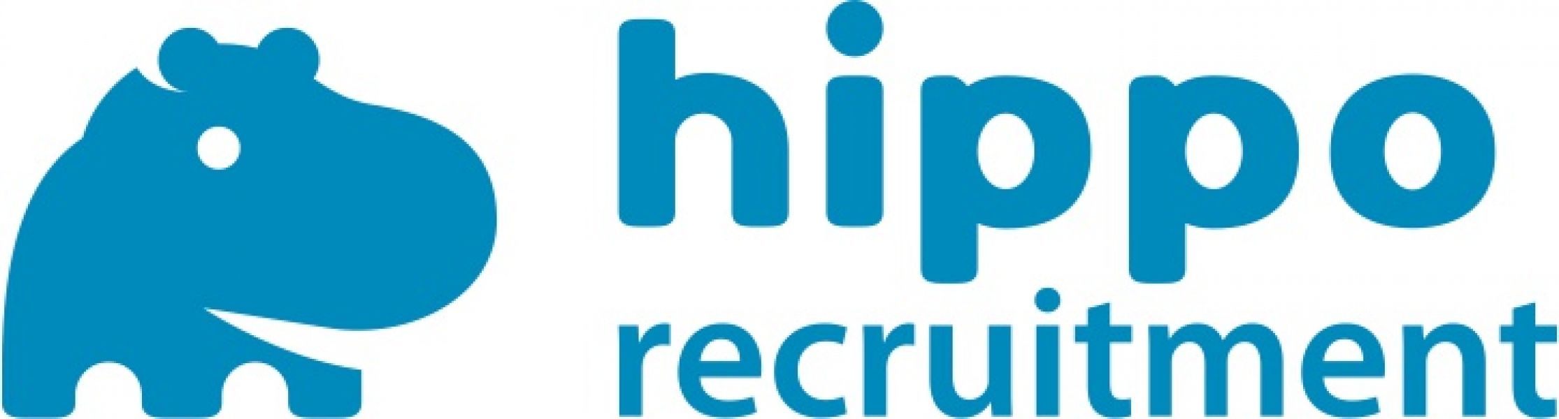 Hippo Recruitment Romania, Plasare forta de munca  in strainatate