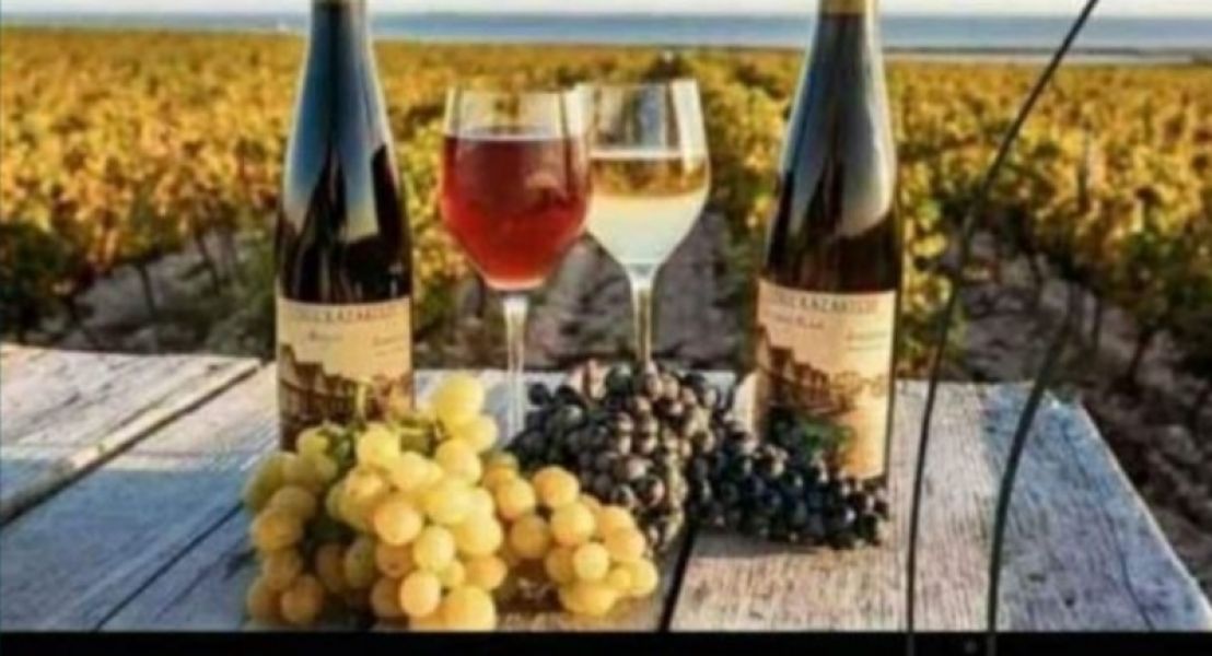 V�nd struguri de vin productie 2023 transport in Pașcani avem toate soiurile feteasca regala resling muscat otonel merlot galbena de odobesti sovinion blank alicote muscat Hamburg se livreaza la ladite mai mult detalii la tel