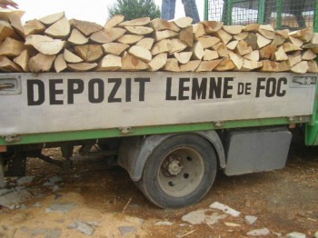 Vand lemne de foc. Lemne de foc Fag.Stejar. Carpen.Transport Gratuit in Bucuresti + 50 km.