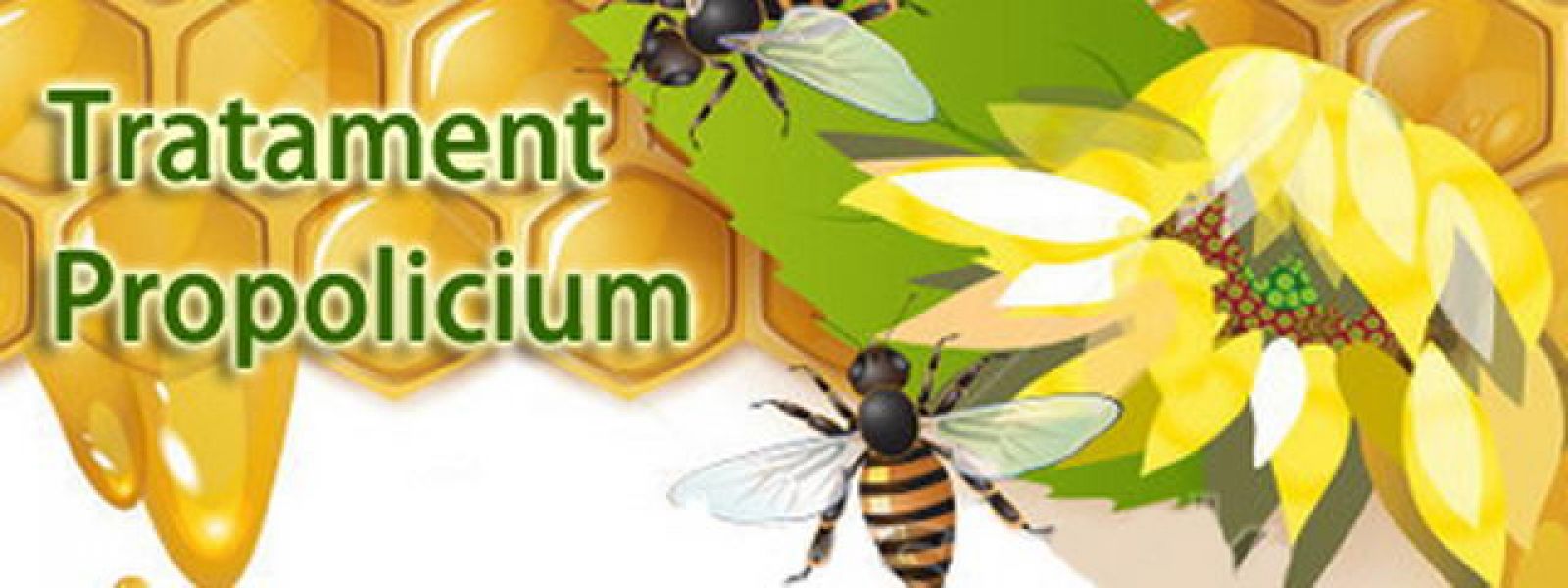 Tratament ovule/supozitoare propolicium care sunt produse din plante apicole pe baza de ingredienti 