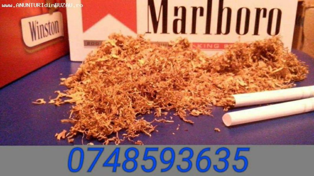 Vand tutun tratat si fermentat