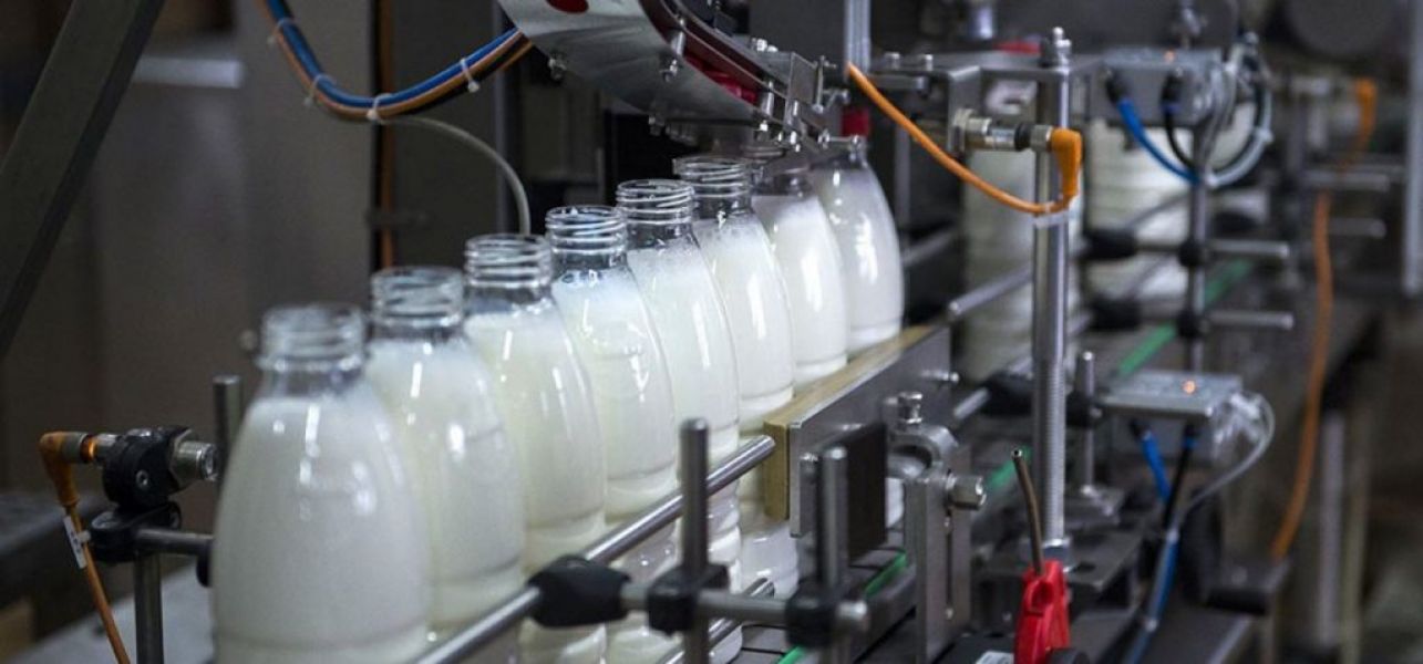 Oportunitate de Muncă �n Germania - Fabrica de Lactate