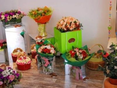 Florist/florista in Kassel-Germania 1400eur