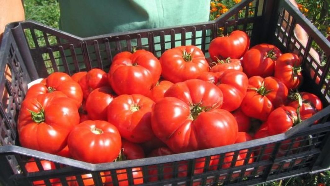 Oportunități de Muncă �n Depozite de Sortat Roșii �n Austria