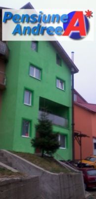 REVELION PENSIUNEA ANDREEA * STRAJA