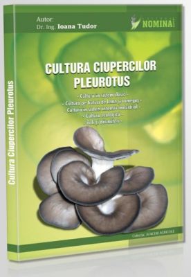 Pastrav de fag,Pleurotus, tehnologie