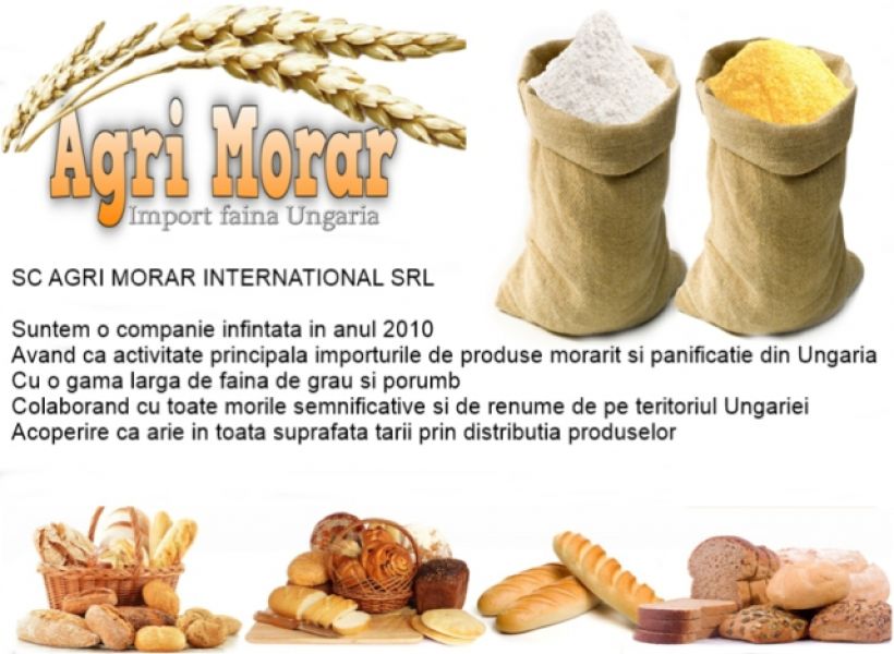 Import faina Ungaria