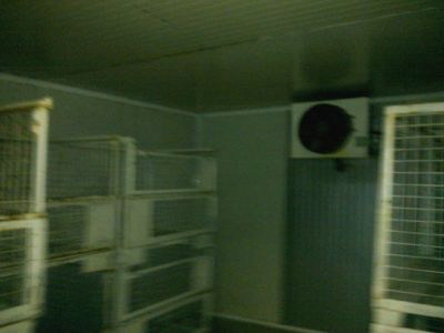Vand boxpaleti metalici