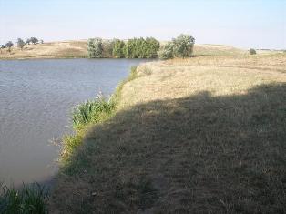 Vanzare teren Belciugatele Lac Valea Iazurilor 7Ha
