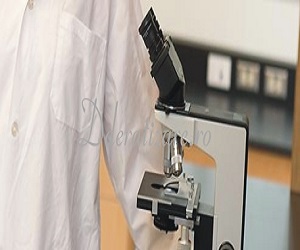 Servicii de dezinfectie