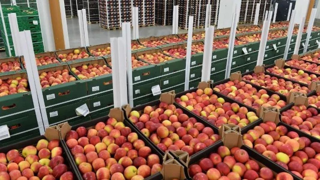 Locuri de Muncă �n Depozite de Sortat Mere �n Austria 