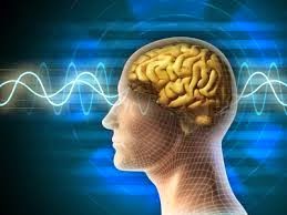 Curs Bioenergie/Managementul stresului
