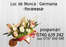 Angajari germania florareasa