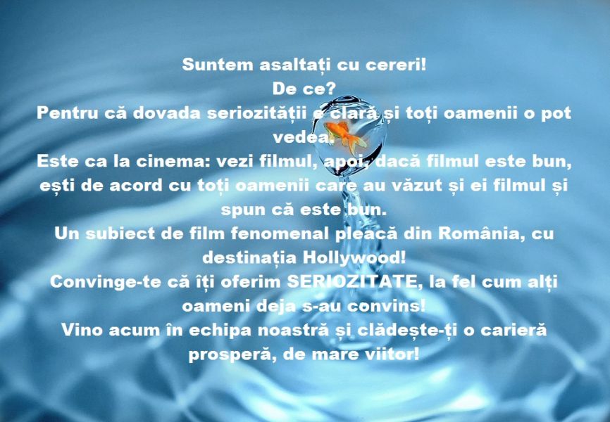 Lucrezi in timpul liber!