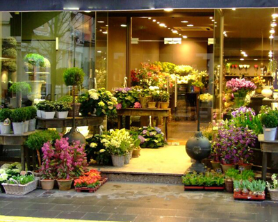 Florist/florista Germania 1400 eur 
