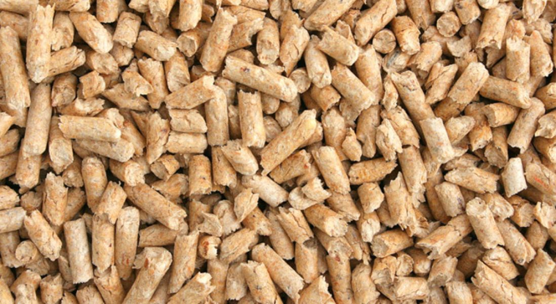 Producator furaje granulate contractam comenzi