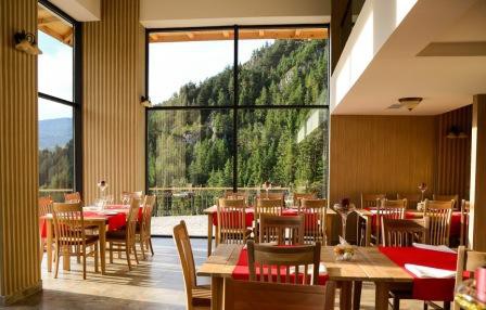 Vacanta de 1 MAI la pensiune RUCAR. Cazare la Resort David.