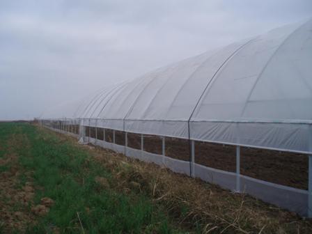 Executam solare pentru legume si florii