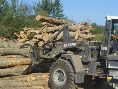 VAND LEMN ROTUND DE FAG DE LUCRU - exploatari forestiere