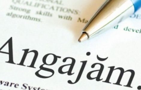 Asistenta manager / marketing