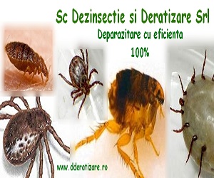 Servicii de deparazitare