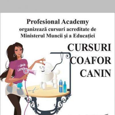 Cursuri Coafor Canin Slobozia
