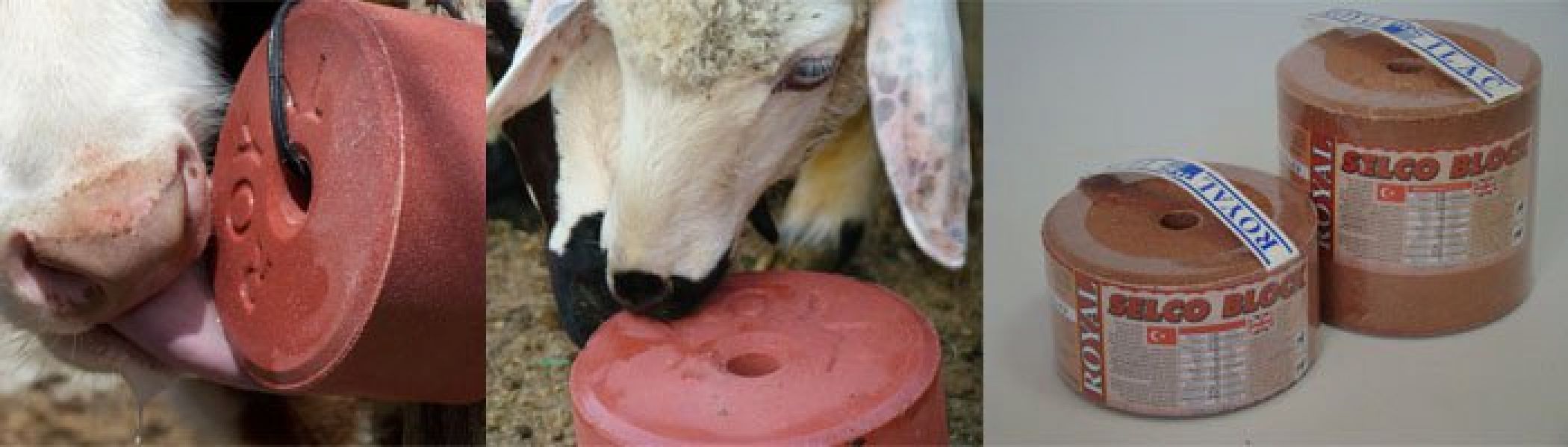 Vindem Blocurile minerale Selco si Mineral