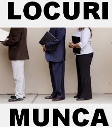  Locuri de Munca pe orase