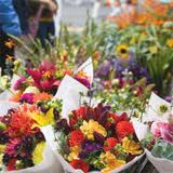 Florarie in Germania