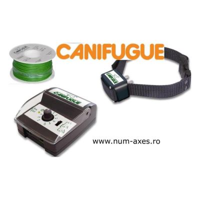 Garduri invizibile pentru caini !