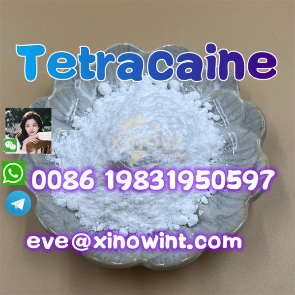 Tetracaine Powder CAS 94-24-6 Local Anesthetic 