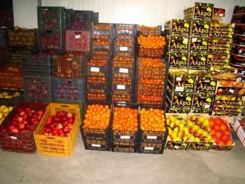 Munca in depozite de fructe � Gemania 1500-1700E. 
