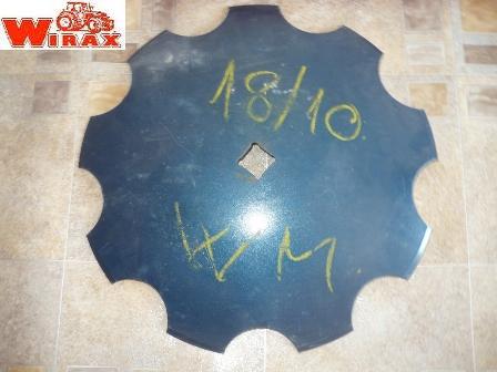 TALERE CRESTATE 560 mm grapa