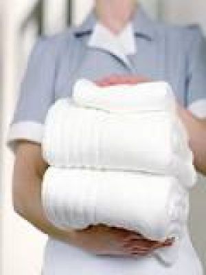 DOMENIUL HOTELIER CAMERISTA 1200 EURO/LUNA