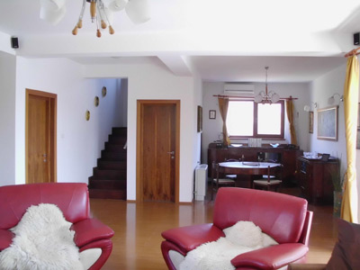 Vanzare vila deosebita