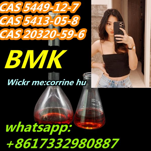  CAS 5449-12-7 Bmk Powder BMK Glycidic Acid (Sodium Salt)