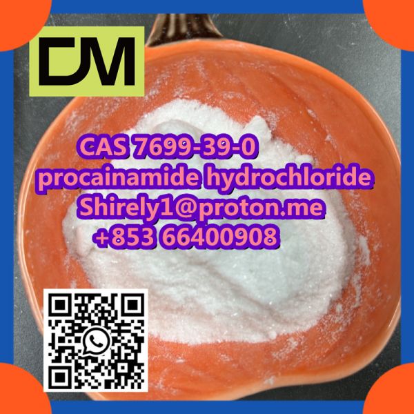 CAS 7699-39-0 procainamide hydrochloride high quality hot sale stock  Chinese factory supply  and sa